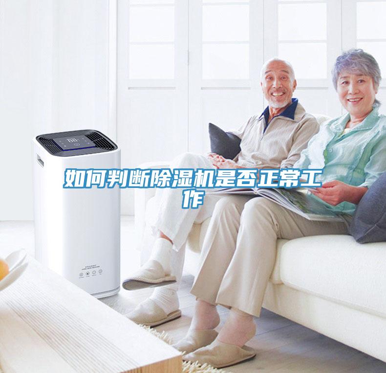 如何判断猫咪成人官网是否正常工作