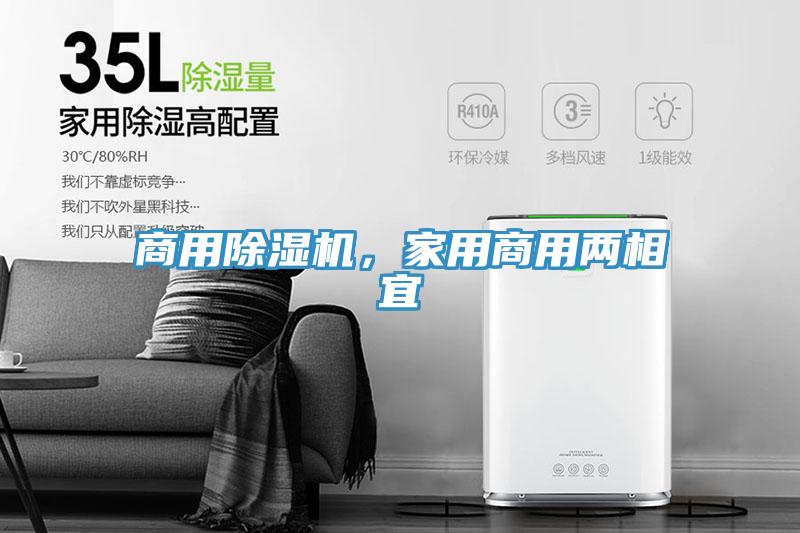 商用猫咪成人官网，家用商用两相宜