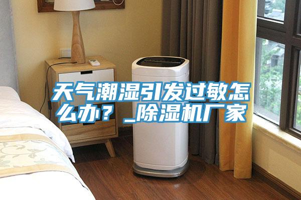 天气潮湿引发过敏怎么办？_猫咪成人官网厂家