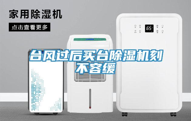 台风过后买台猫咪成人官网刻不容缓