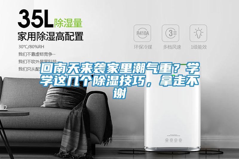 回南天来袭家里潮气重？学学这几个除湿技巧，拿走不谢