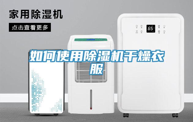 如何使用猫咪成人官网干燥衣服
