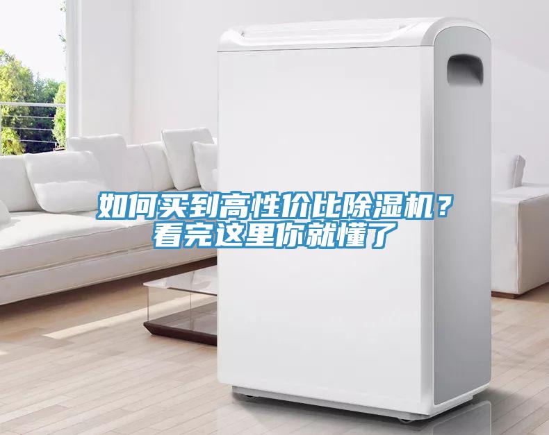 如何买到高性价比猫咪成人官网？看完这里你就懂了