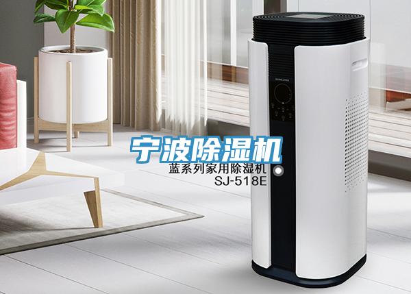 宁波猫咪成人官网