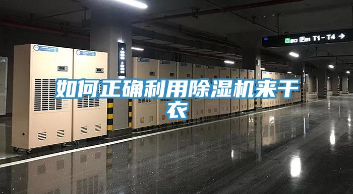 如何正确利用猫咪成人官网来干衣