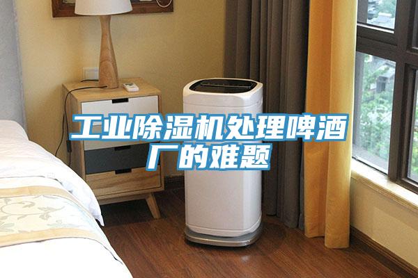工业猫咪成人官网处理啤酒厂的难题