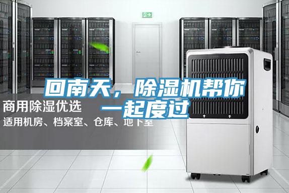 回南天，猫咪成人官网帮你一起度过