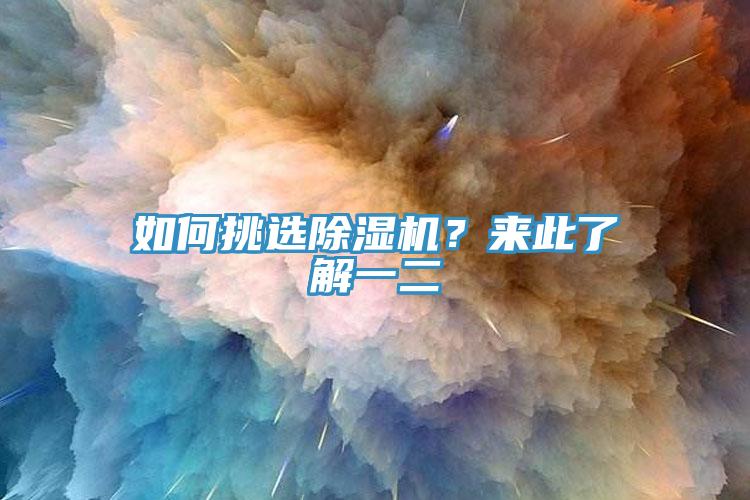 如何挑选猫咪成人官网？来此了解一二