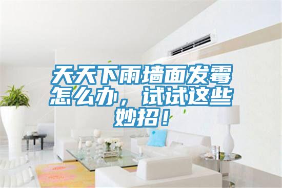 天天下雨墙面发霉怎么办，试试这些妙招！