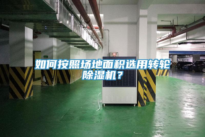 如何按照场地面积选用转轮猫咪成人官网？