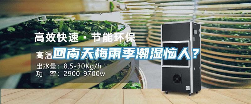 回南天梅雨季潮湿恼人？