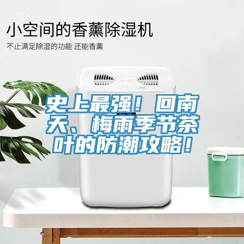史上最强！回南天、梅雨季节茶叶的防潮攻略！