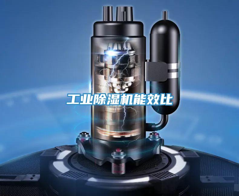 工业猫咪成人官网能效比