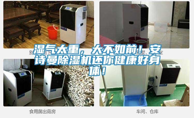 湿气太重，大不如前！猫咪成人在线视频猫咪成人官网还你健康好身体！