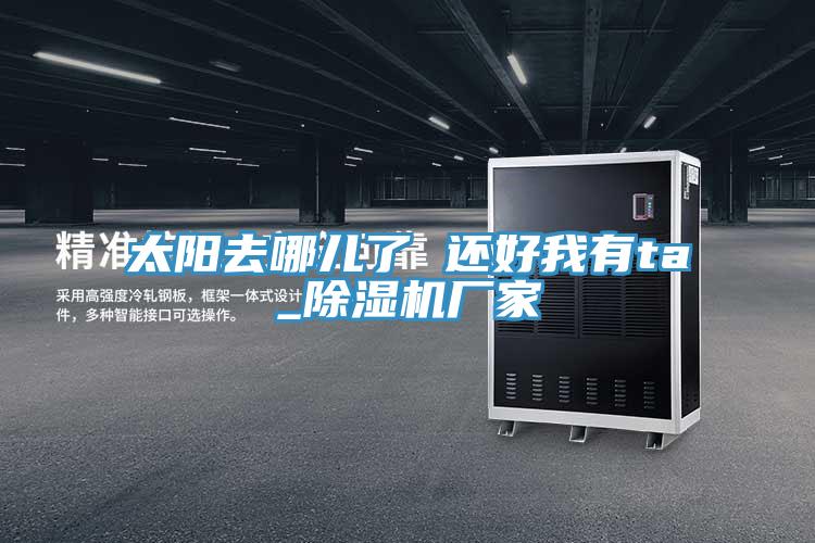 太阳去哪儿了 还好我有ta_猫咪成人官网厂家