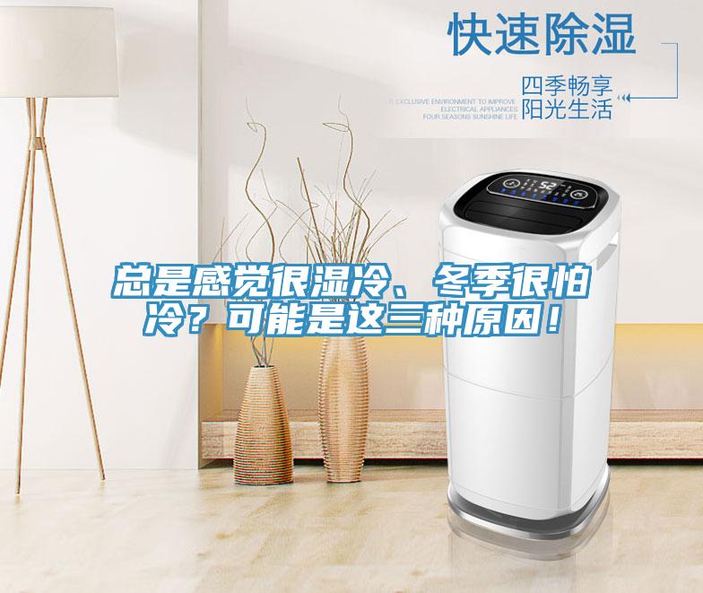 总是感觉很湿冷、冬季很怕冷？可能是这三种原因！