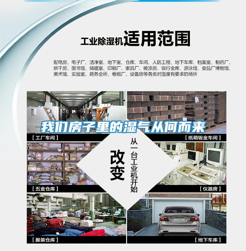 猫咪成人在线视频房子里的湿气从何而来