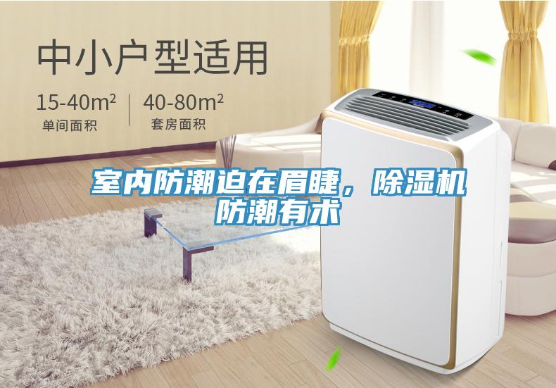 室内防潮迫在眉睫，猫咪成人官网防潮有术