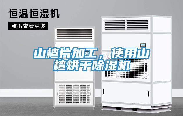 山楂片加工，使用山楂烘干猫咪成人官网