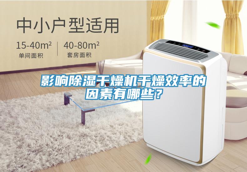 影响除湿干燥机干燥效率的因素有哪些？