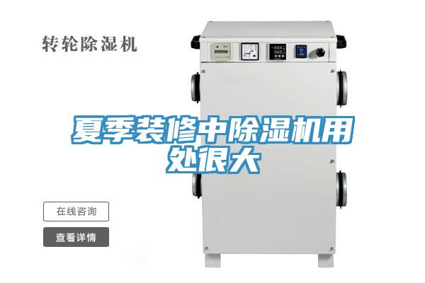 夏季装修中猫咪成人官网用处很大