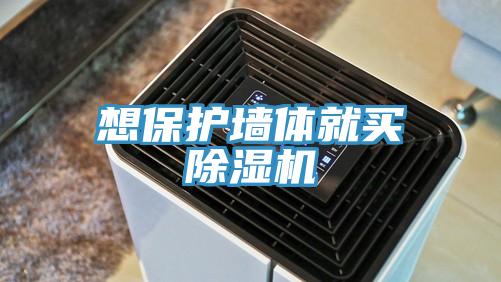 想保护墙体就买猫咪成人官网