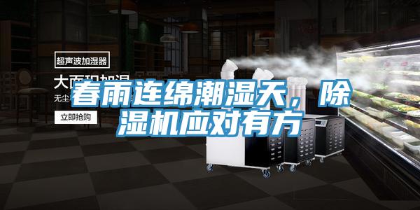 春雨连绵潮湿天，猫咪成人官网应对有方