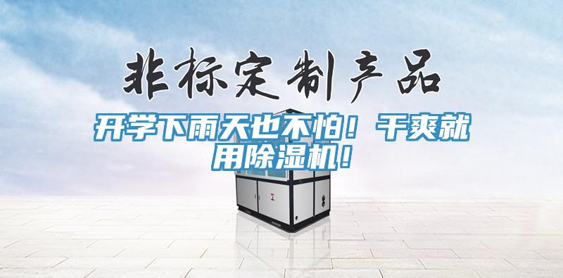 开学下雨天也不怕！干爽就用猫咪成人官网！