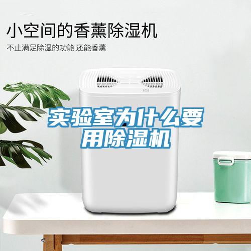 实验室为什么要用猫咪成人官网