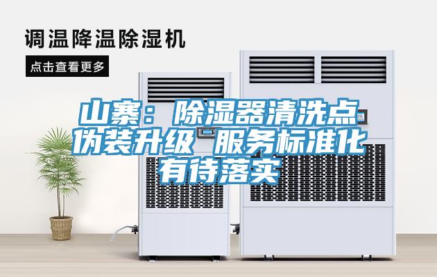 山寨：除湿器清洗点伪装升级 服务标准化有待落实