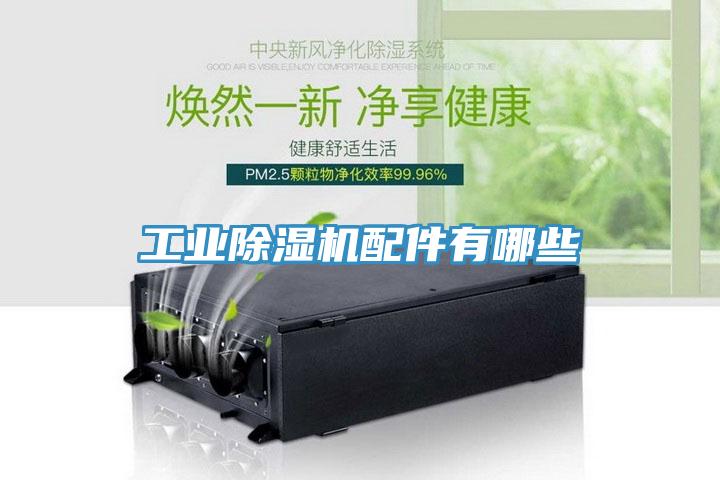 工业猫咪成人官网配件有哪些