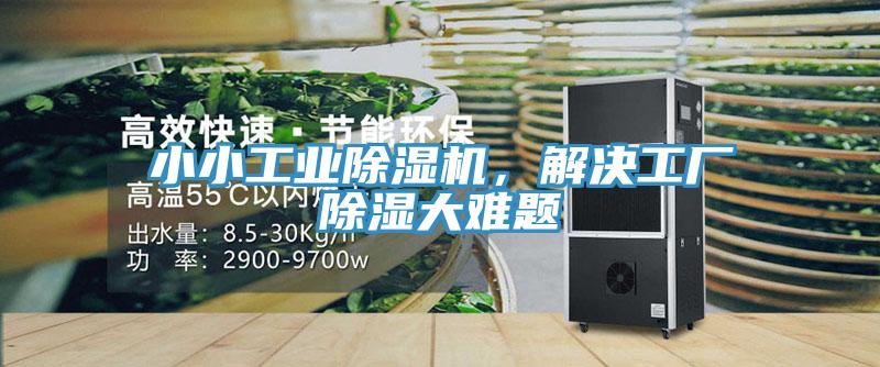 小小工业猫咪成人官网，解决工厂除湿大难题