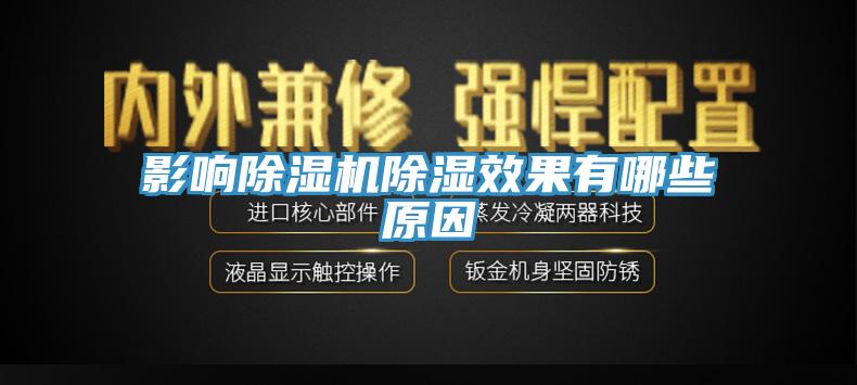影响猫咪成人官网除湿效果有哪些原因