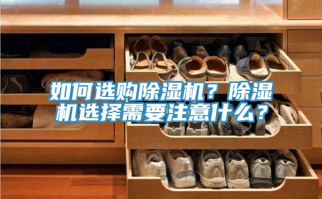 如何选购猫咪成人官网？猫咪成人官网选择需要注意什么？