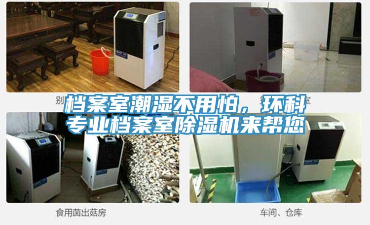 档案室潮湿不用怕，环科专业档案室猫咪成人官网来帮您
