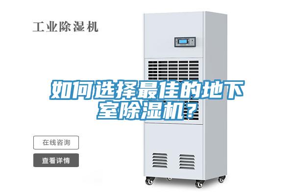 如何选择最佳的地下室猫咪成人官网？