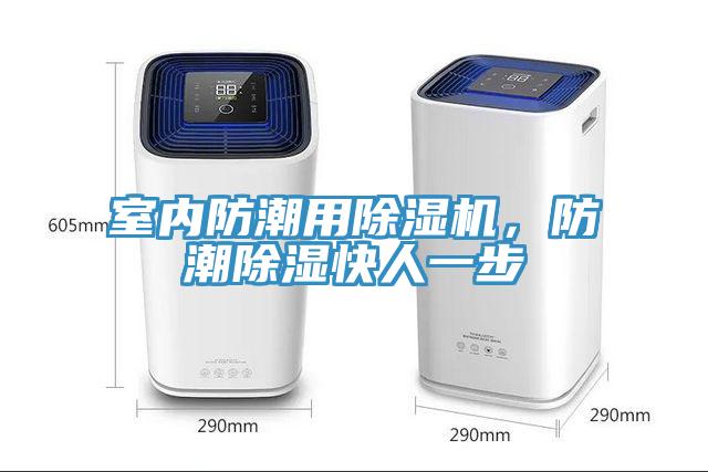 室内防潮用猫咪成人官网，防潮除湿快人一步