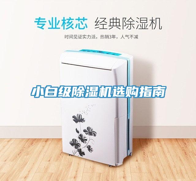 小白级猫咪成人官网选购指南