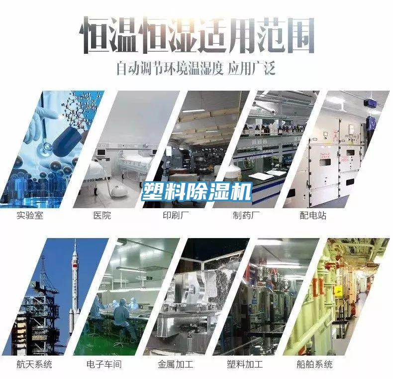 塑料猫咪成人官网