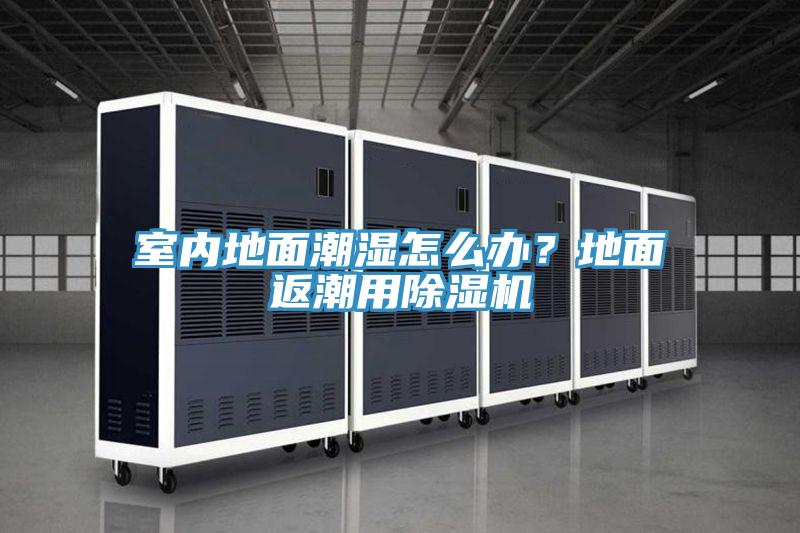 室内地面潮湿怎么办？地面返潮用猫咪成人官网