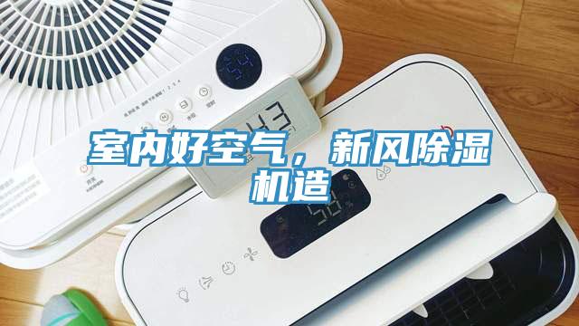 室内好空气，新风猫咪成人官网造