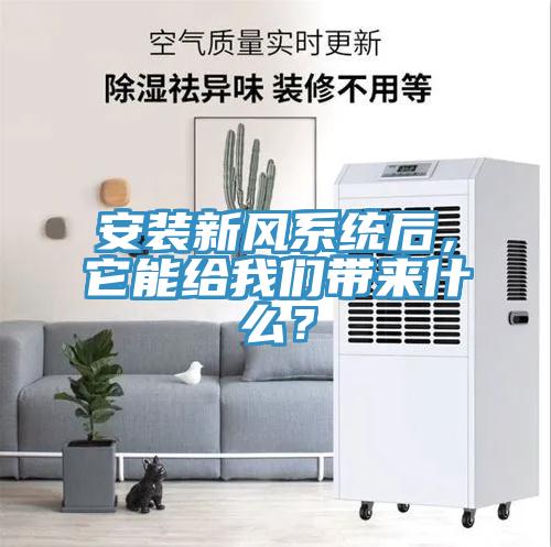 安装新风系统后，它能给猫咪成人在线视频带来什么？