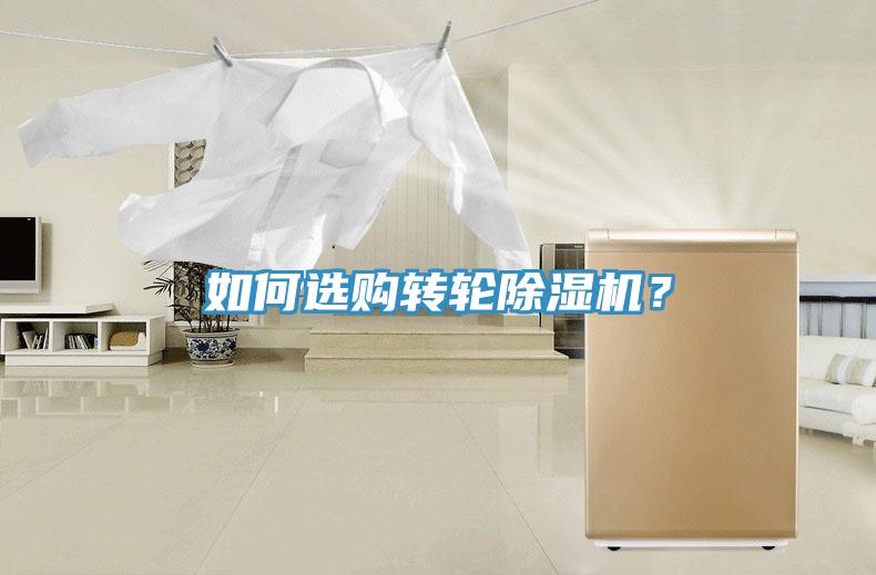 如何选购转轮猫咪成人官网？