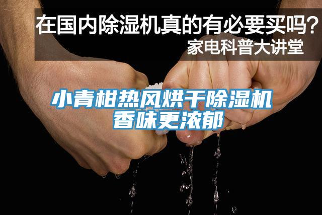 小青柑热风烘干猫咪成人官网 香味更浓郁