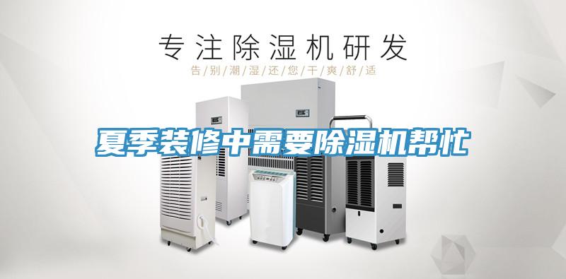 夏季装修中需要猫咪成人官网帮忙