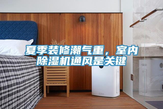 夏季装修潮气重，室内猫咪成人官网通风是关键