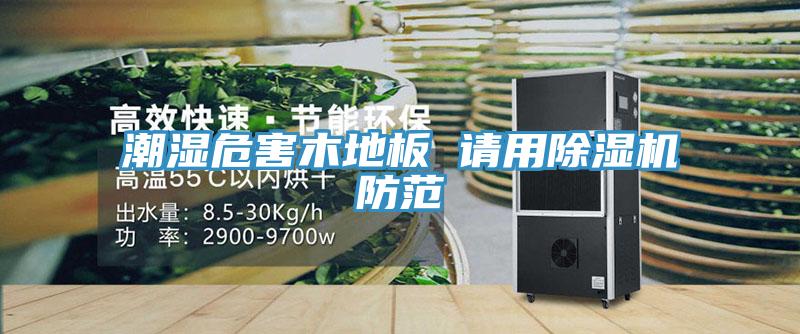 潮湿危害木地板 请用猫咪成人官网防范