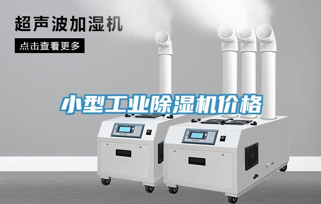 小型工业猫咪成人官网价格