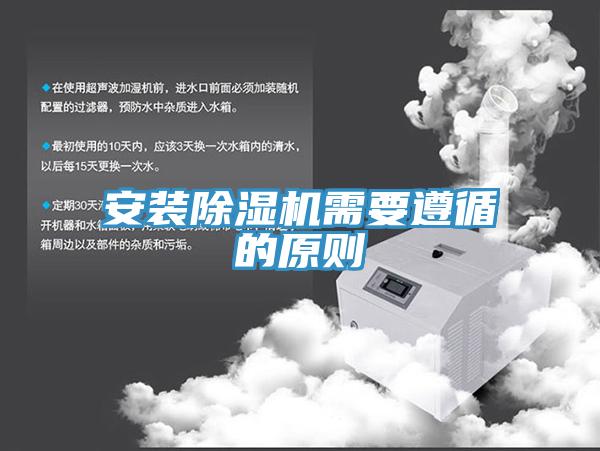 安装猫咪成人官网需要遵循的原则