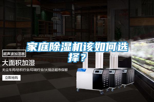 家庭猫咪成人官网该如何选择？